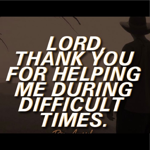 Meet your Posher, Jamie - Picture 3 of 8